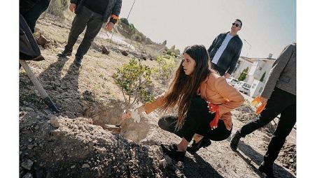 Çeşme’de 411 fidan