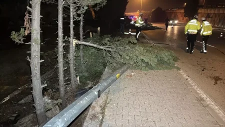 Karabük’te devrilen otomobilin sürücüsü yaralandı