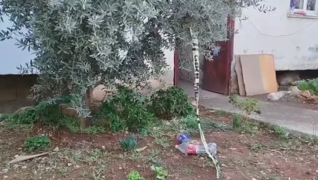 Mersin’de Eşini Tüfekle Vuran Adam Teslim Oldu