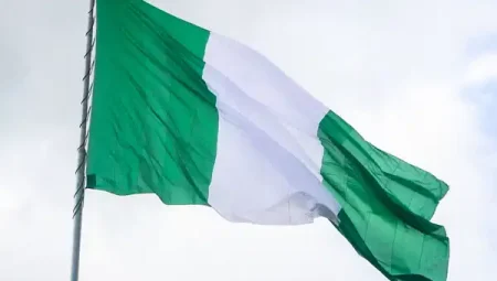 Nijerya’da ‘acil ulusal güvenlik durumu’ ilanı