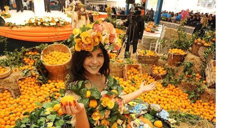 Seferihisar Mandalina Şenliği bu yıl 25’inci kez düzenleniyor.