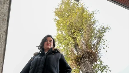 Yüzyıllık Kavak Ağaçtan Tanık: Ulucanlar Cezaevi