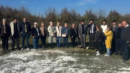 Samsun’da çöp konteynerinde 9 ölü köpek bulundu: CHP heyeti barınağa alınmadı